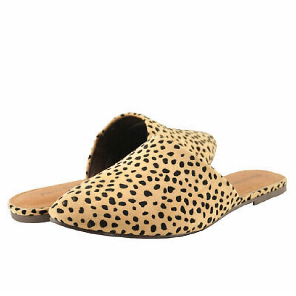 Women's Shoes Pierre Dumas Slip On Loafer Mules